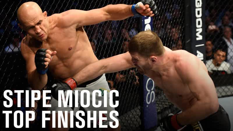 Top Finishes: Stipe